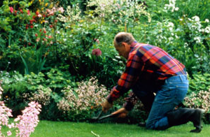 Landscape architect Anchorage Alaska