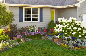 landscaper in Melbourne