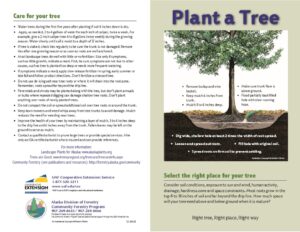 Tree Planting Pamphlet[48] | Faltz Landscaping & Nursery